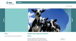 Desktop Screenshot of msd-hayvan-sagligi.com